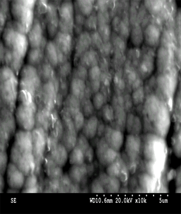 텅스텐 코팅층 성분 분석-1