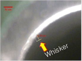 (No Additive - 0 ppm)