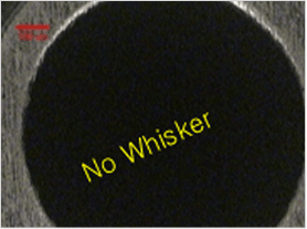 (Additive - 25  ppm)